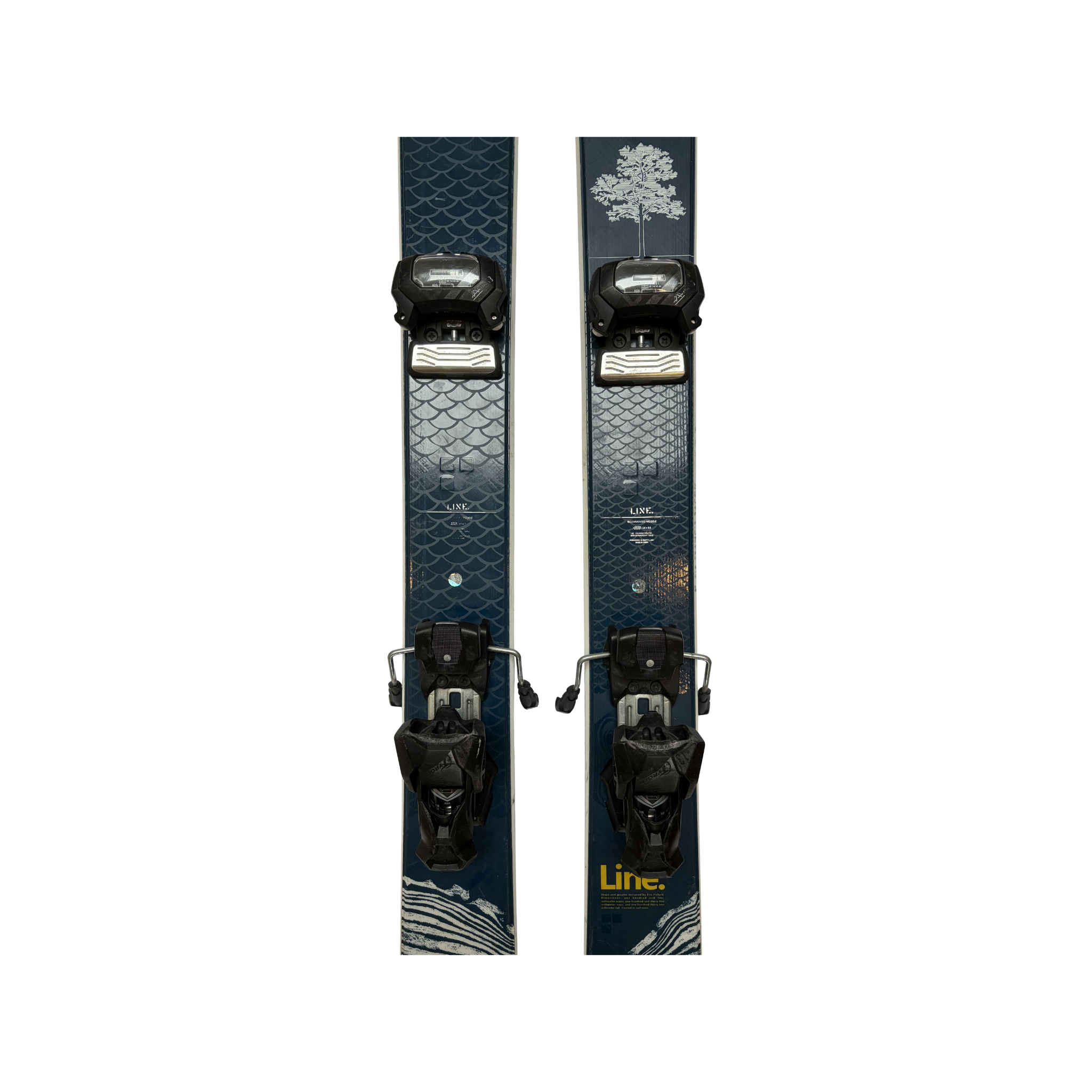LINE SIR FRANCIS BACON + TYROLIA ATTACK 13